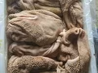 Закупаем на постоянной основе. Субпродукты для кормления домашних животных. — 照片 1