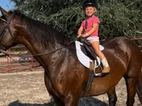Jument, Quarter Horse — photo 7