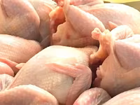 Prepelite: carne, oua, taietei, afumate, marinate, congelate, maioneza, pate, carne inabusita etc.. — 2-rasm