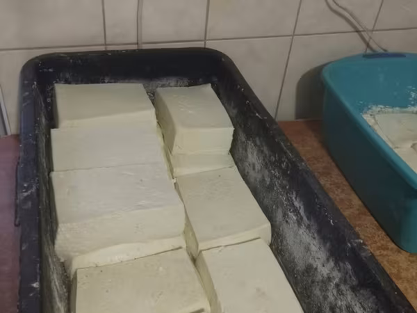 Vind briza (cas)de oi