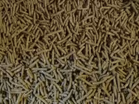 Granule pentru iepuri de calitate superioara.Edineț.facem livrare — 照片 2