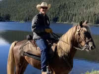 घोड़ा, Rocky Mountain Horse — फ़ोटो 1