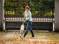 Комбинированные системы Stihl — Бельцы и Сороки — foto 4