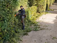 Инструменты Stihl для сада и участка — Бельцы и Сороки — photo 5