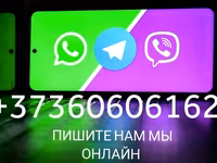 Закупаем субпродукты, рубец, фарш. Говядина, баранина, конина, птица. Для кормления собак. Viber. — foto 2