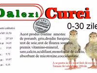 Quails — foto 2