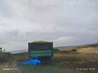 Кукуруза — foto 2