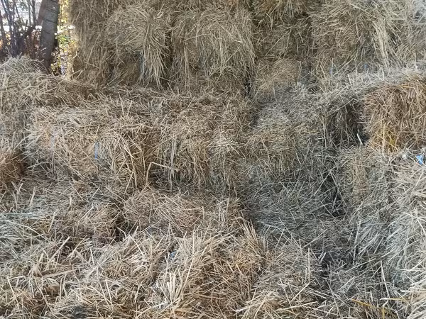 Продаю тюки для коз и овец... смесь соя и трава...