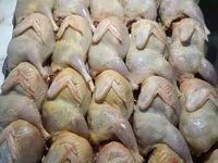 Carne de prepeliță — 2-rasm