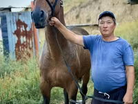 Cal, French Trotter — foto 5