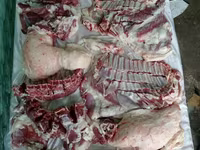 Berbec, Rhon sheep — foto 2