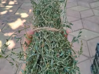 Продам мини тюки — 照片 3