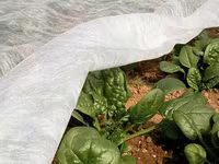 Акция! Белое Агроволокно + UV / Agrostofe + UV 20 gsm / 40 gsm / 50 gsm — الصورة 2