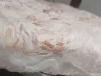Котлетное мясо свинины (тримминг) — الصورة 2