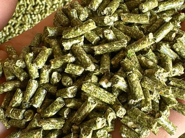 granule iepuri 8 lei/kg