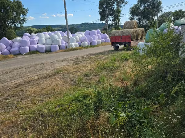 Lucernă/Senaj/