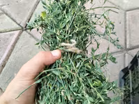 Продам мини тюки — 照片 2