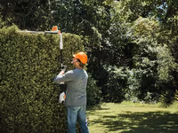 Инструменты Stihl для сада и участка — Бельцы и Сороки — photo 4