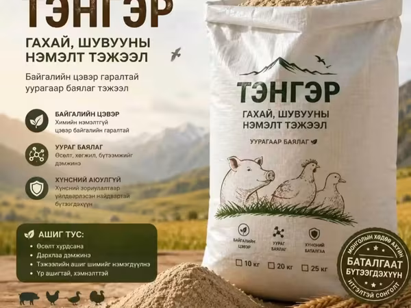 Гахай тахиа уурагт тэжээл