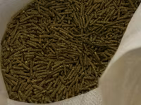 Granule — photo 2