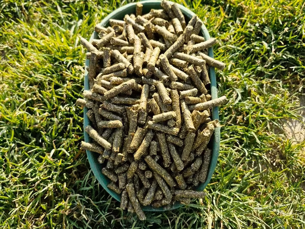 Lucernă granulata
