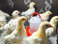 براهما — الصورة 3