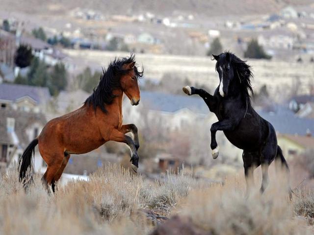 Abstang
