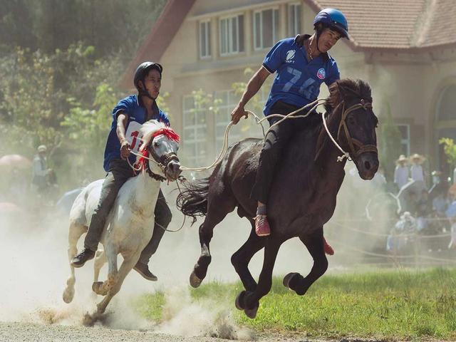 Hmong horse