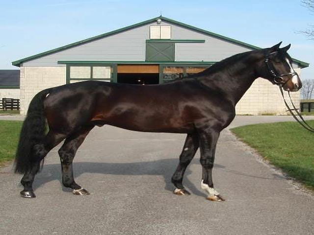 Zweibrucker